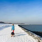 Lotsenkoje